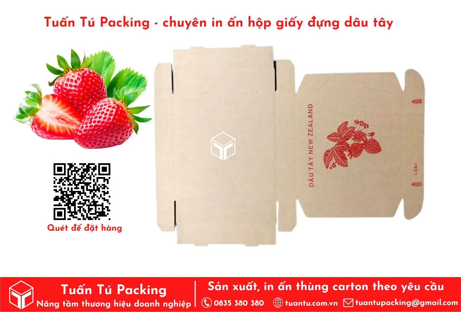 Chuyên cung cấp hộp carton đựng dâu tây TPHCM