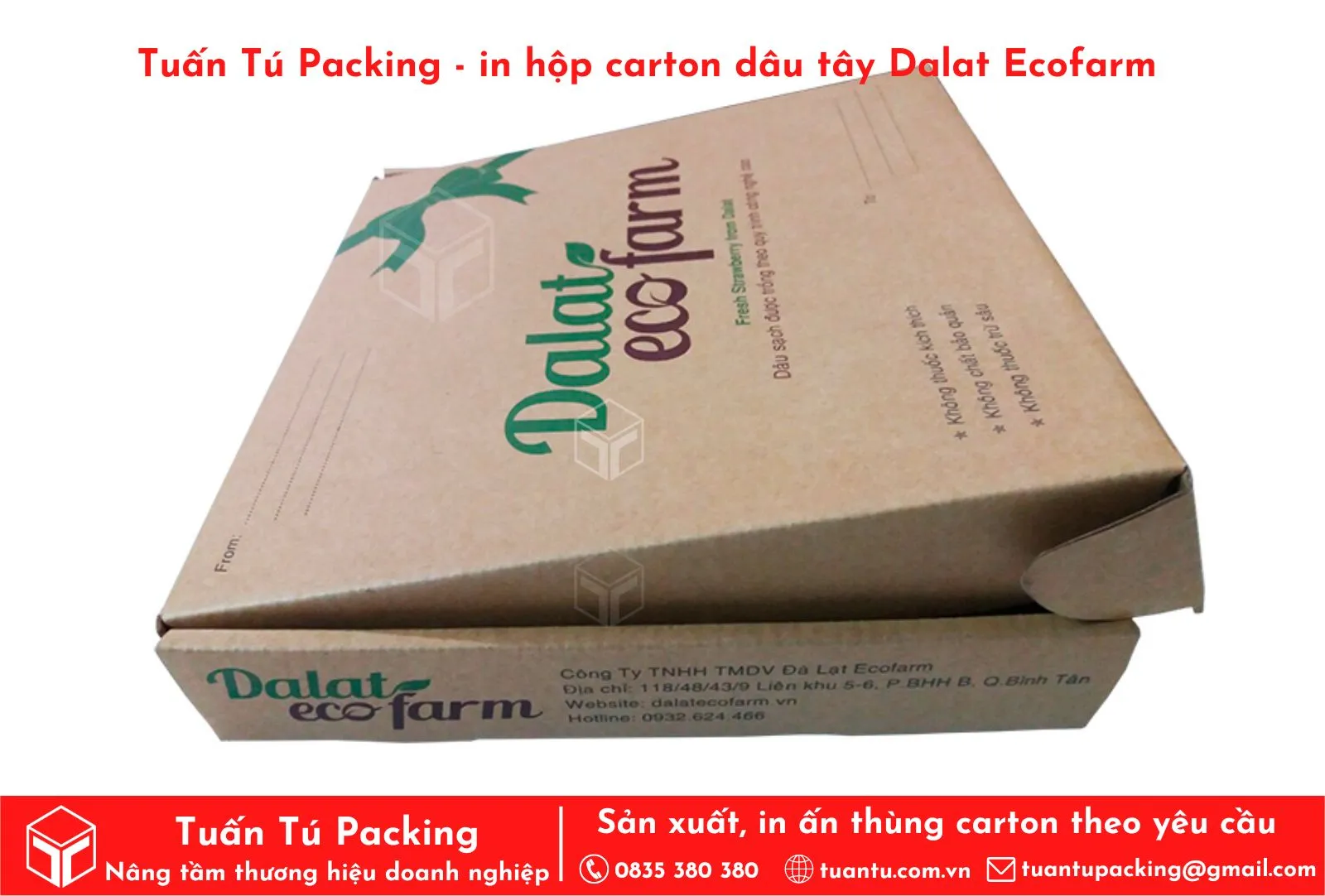 In thùng carton đựng dâu tây Ecofarm