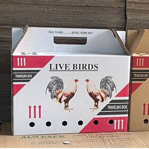Thùng carton đựng gà đá live birds