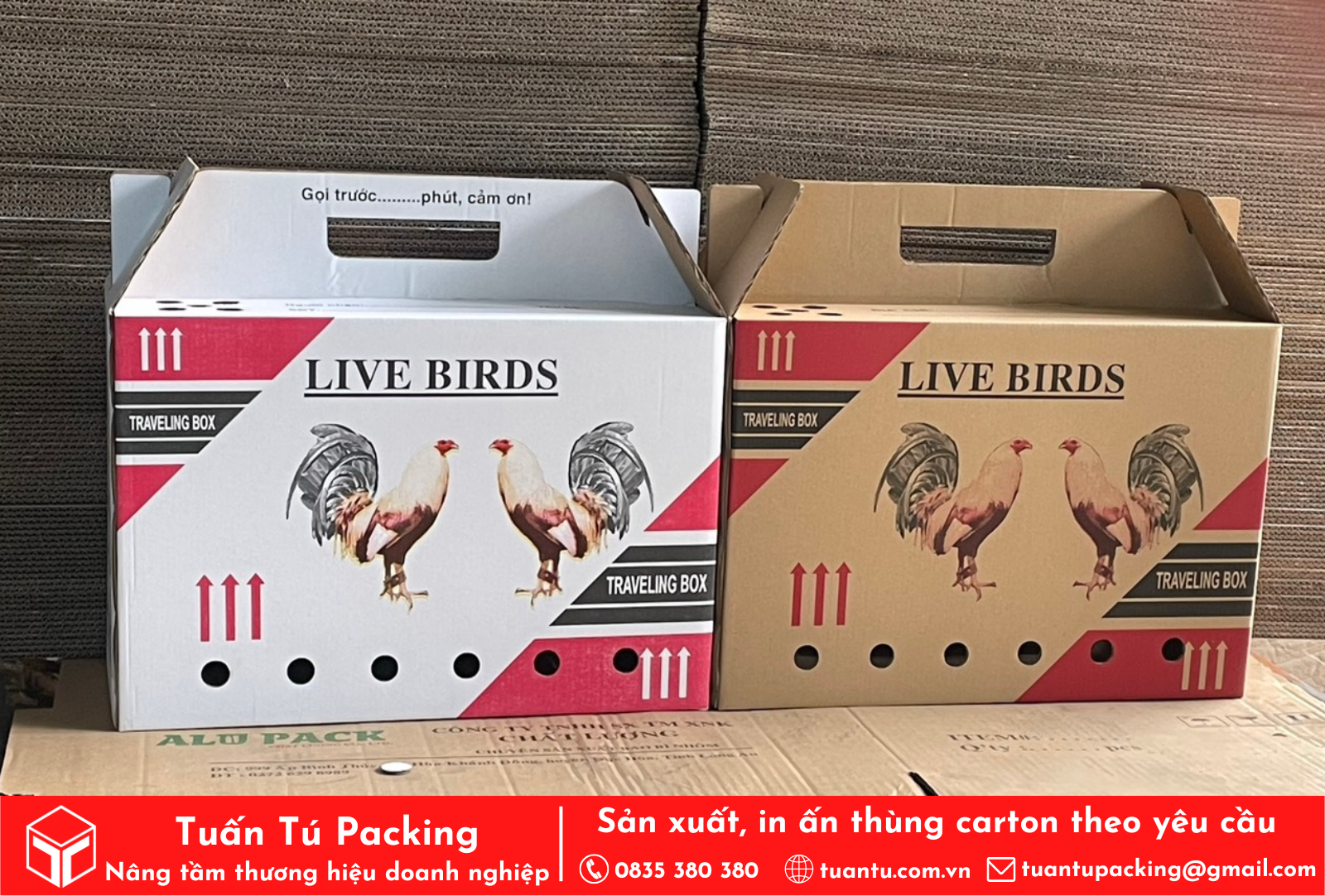 Thùng carton đựng gà - Live Bird 