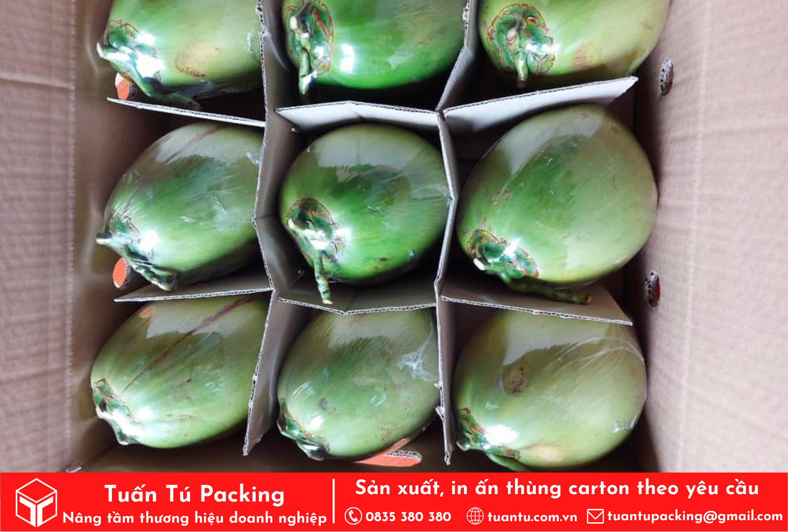 Thùng carton đựng dừa xuất khẩu